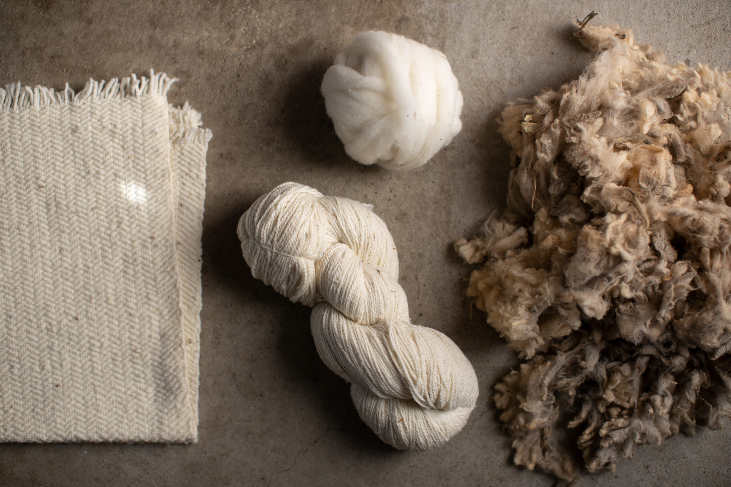 Belgium Fibershed