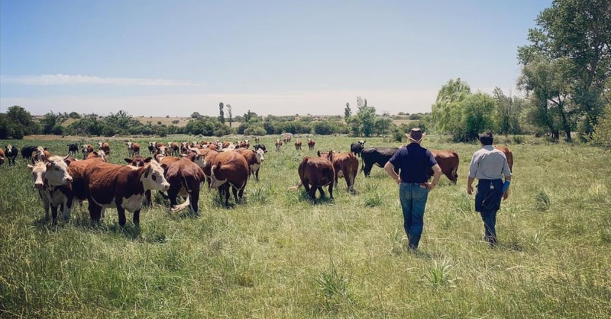 How can fashion companies play a role in restoring soil and climate?