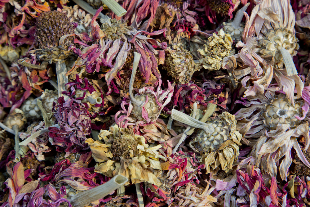 Herb to Color project