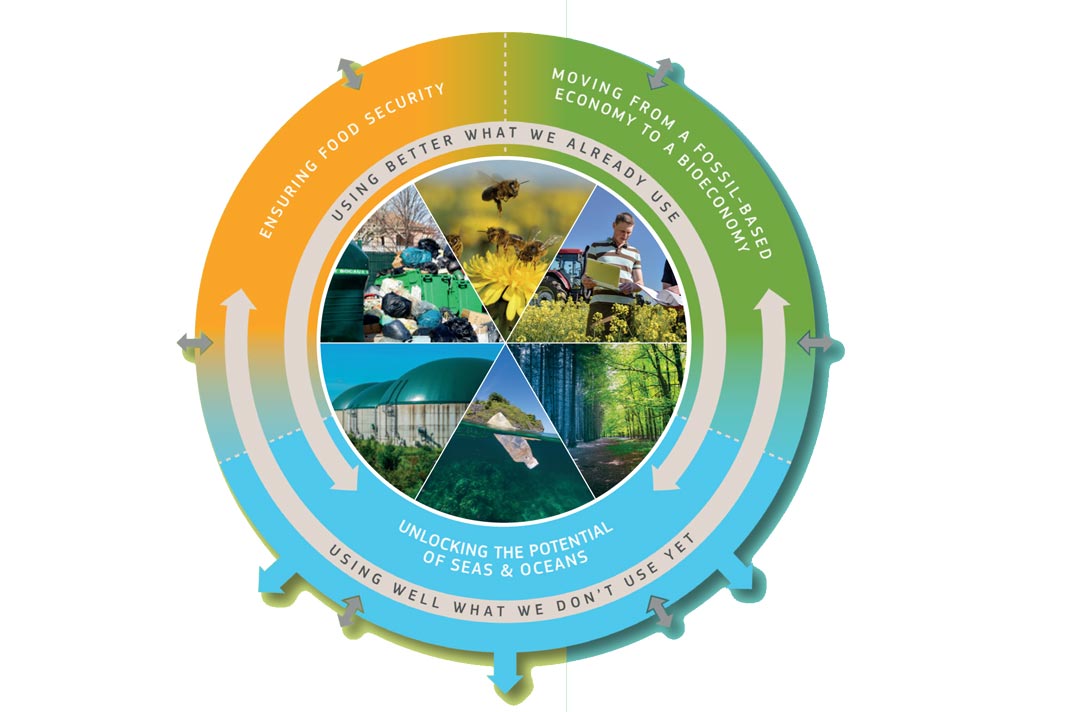Insights from the European Fibershed Roundtable: Advocating for Natural Fibers