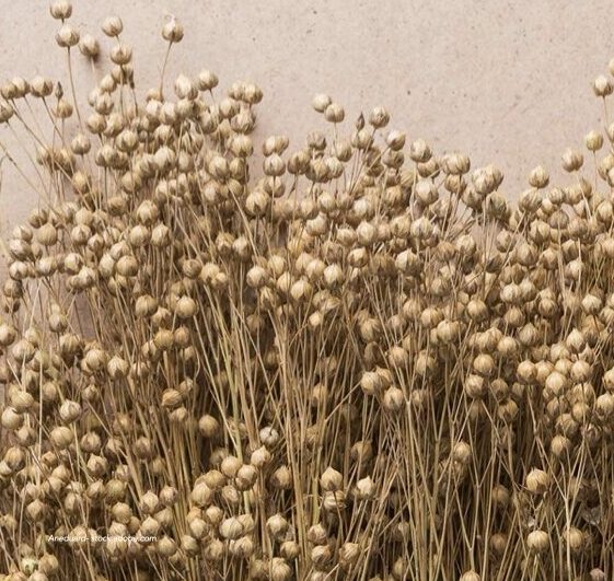 Bioregional reslience through Bast Fibres
